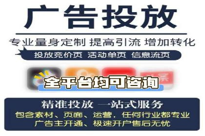 谷歌SEM案例研究：数据分析与效果评估